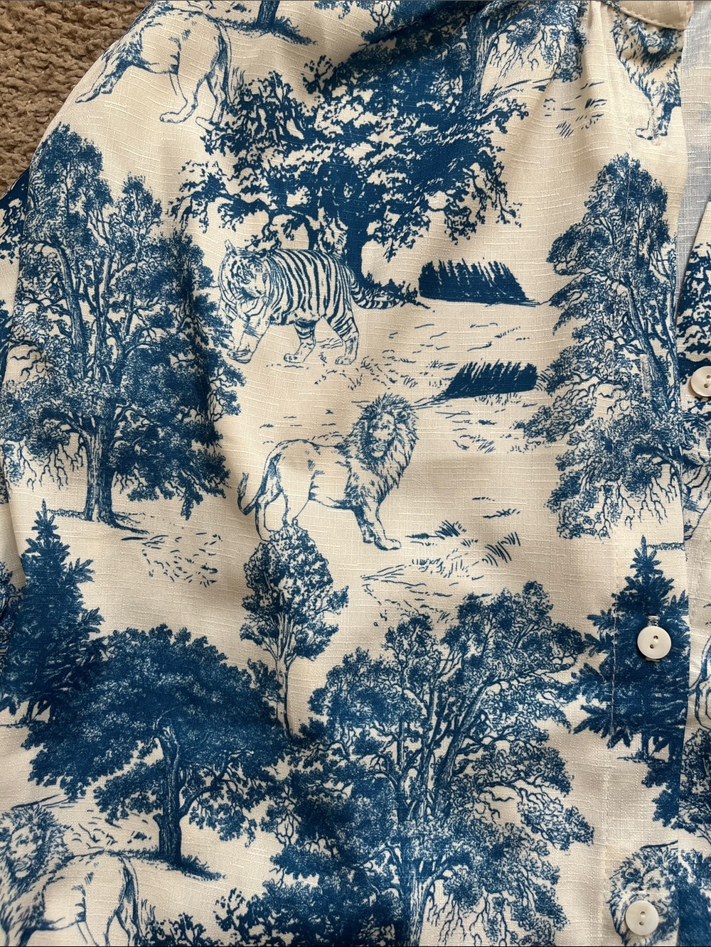 Toile Style Ivory Shirt with Blue Scenic Print NWT - Picture 3 of 6